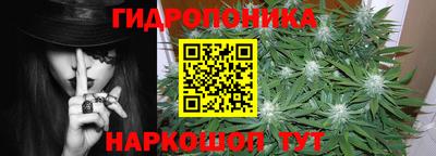 крисы Ирбит