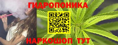 крисы Ирбит
