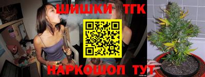 крисы Ирбит